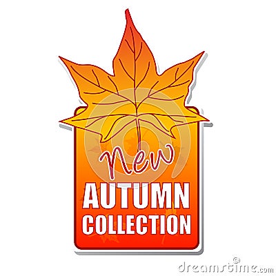 New autumn collection label with leaf Stock Photo