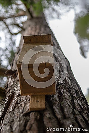 A new bird feeder suspended on a tree. Birdhouse in a nature res Stock Photo