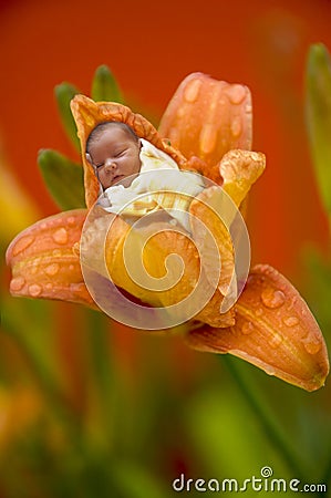 New born baby Stock Photo