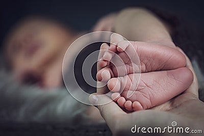 New born baby`s feet in mother hands, sleeping baby in the background Stock Photo