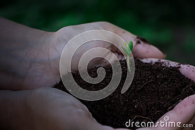 New born Stock Photo