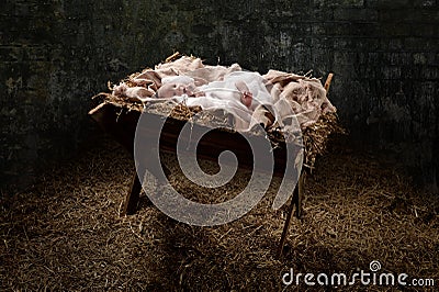 New Born Jesus on a Manger Stock Photo