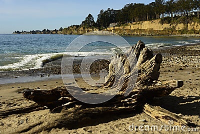 New Brighton State Beach and Campground, Capitola, California Stock Photo