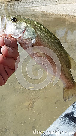 New day at the leon river bass Stock Photo