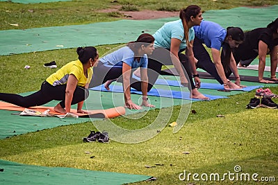 New Delhi, India, May 31 2023 - Group Yoga exercise class Surya Namaskar for people of different age in Lodhi Garden, Editorial Stock Photo