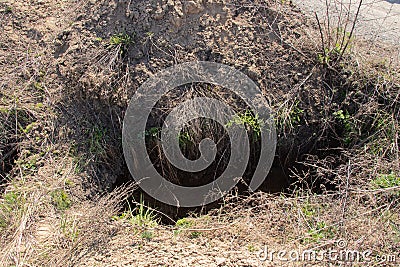 New dug graves, grave cemetery for those infected by coronavirus, Ukraine Dnieper city Stock Photo