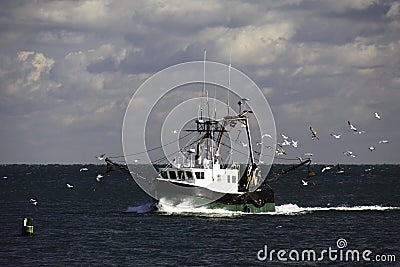 New England Fishing Trawler and Seagulls Stock Photo