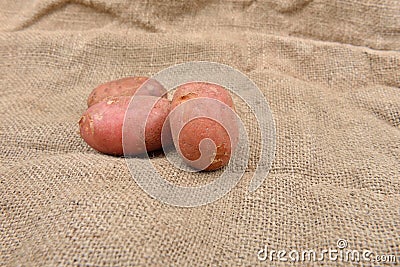 New fresh red potatoes jute background. Concept of healthy food, bio from countryside Stock Photo