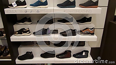 priester Zichtbaar vergeten New Collection of Geox Shoes Stock Footage - Video of leather, boutique:  76772842