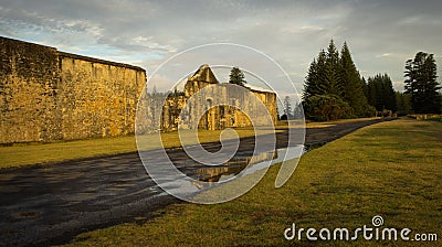 New Goal and Pines, Norfolk Island Stock Photo