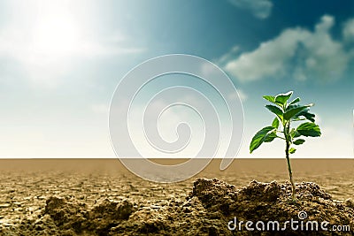 Global warming Concept Stock Photo