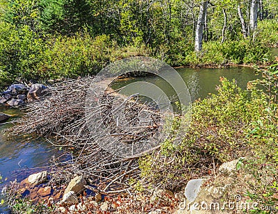 New Hampshire Mountain Beaver Pond Stock Photo