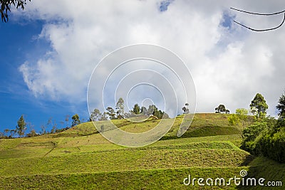 New house vision on field. Stock Photo