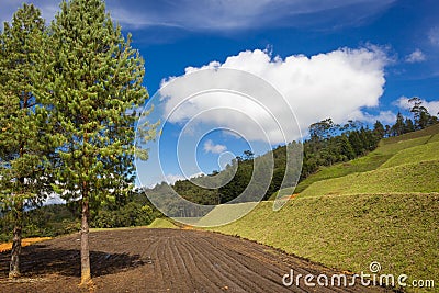 New house vision on field. Stock Photo