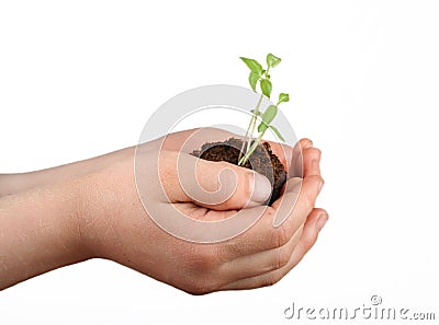 New Life Stock Photo