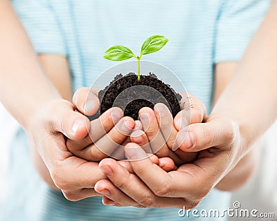 Human hands holding green sprout leaf growth at dirt soil Stock Photo