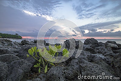 New Life Starts from Cruel Conditions Stock Photo