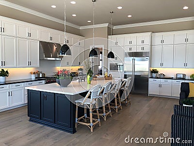 Model Luxury Home Interior. Editorial Stock Photo