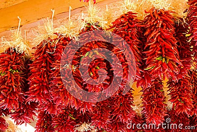 New Mexico Chilies Peppers Stock Photo