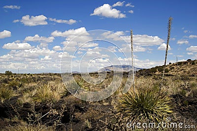 New Mexico desert Stock Photo
