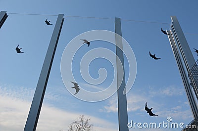 New noise barrier by the road with windows. they are very transparent, straight and reflect like a mirror. birds often perceive th Stock Photo