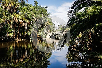 New Orleans City Park Bayou Stock Photo