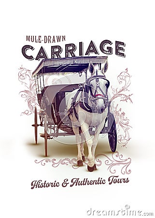 New Orleans Culture Collection Mule Drawn Carriage Stock Photo