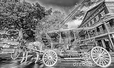 NEW ORLEANS - JANUARY 27, 2016: Black and white view Horse Carriage in front of Jackson Square. The city attracts 15 million Editorial Stock Photo