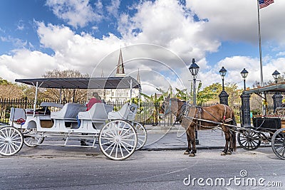 NEW ORLEANS - JANUARY 2016: Horse carriage in Jackson Square. Th Editorial Stock Photo