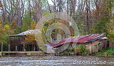 Buildings and Honey Island Swamp Tour With Jungle Forest and Tree in New Orleans, Louisiana Editorial Stock Photo