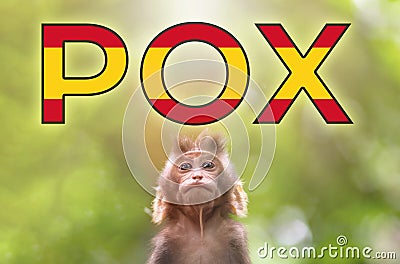 A new outbreak of viral infection at Spain, monkey pox. Little monkey look at text POX with spanish flag. The concept of Stock Photo