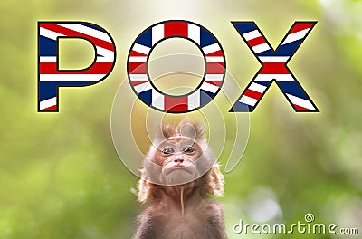 A new outbreak of viral infection in UK, monkey pox. Little monkey look at text POX with british flag. The concept of Stock Photo