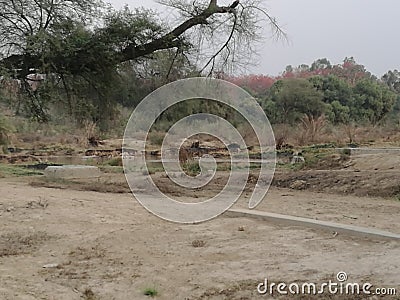 New pics of garden Stock Photo