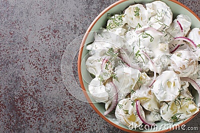 New potato salad with pickles, dill and red onion with sour cream dressing close-up in a plate. Horizontal top view Stock Photo