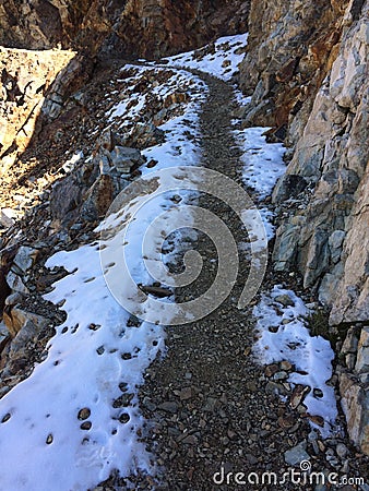 Sequoia National Park a Snowy Mountain path Stock Photo