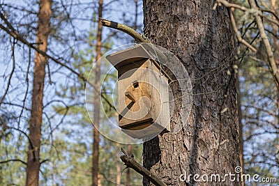 New wooden birdhouse on a tree for forest birds in the forest Stock Photo