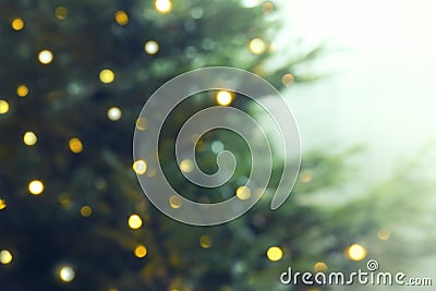 New Year or Christmas blurred background with Christmas tree and Stock Photo