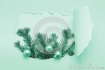 New Year Christmas concept. A big hole bursted tear paper Christmas tree branches mint neon background. Minimalism Stock Photo