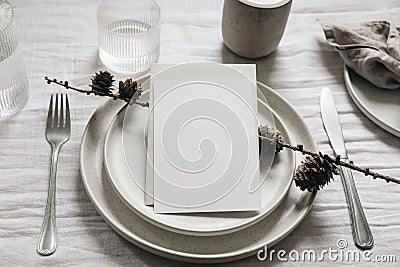 New Year, Christmas styled naural table setting. White plate, silver cutlery. Larch tree cones, wine glass and carafe Stock Photo