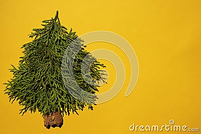 New Year concept - alternative tree made of cypress branches on a yellow background with space for text. Postcard template, poster Stock Photo