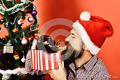 New year of Dog concept. Doggy pushes Santa away Stock Photo