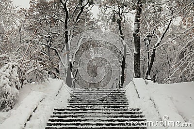 Stairs on a park alley. Winter park covered with snow Stock Photo