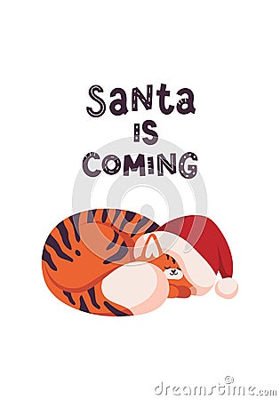 New year greeting card with cute tiger. Cat sleep in Santa hat. Chinese new year symbol. Text lettering Santa is coming. Vector Illustration