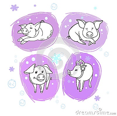 New Year`s cheerful pig Stock Photo