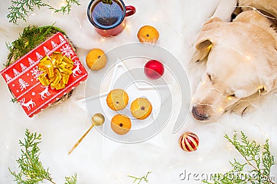 New Year`s comfort, mug and cupcakes, new year garland, flat lay Stock Photo