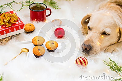 New Year`s comfort, mug and cupcakes, new year garland, flat lay Stock Photo