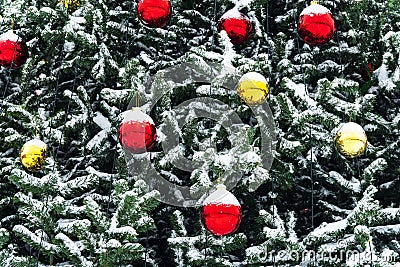 New Year\'s decoration balls on a snowy branch. Christmas tree toy on the branches of spruce covered with snow. Blue shiny balloon Stock Photo