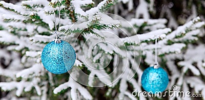 New Year`s decoration balls on a snowy branch. Christmas tree toy on the branches of spruce covered with snow. Blue shiny balloon Stock Photo