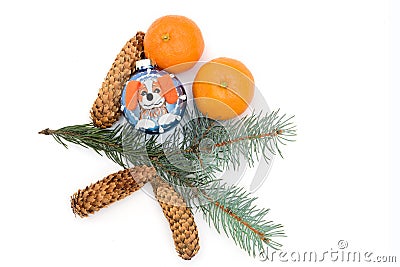 The New Year`s toy and tangerines are isolated on a white background Stock Photo