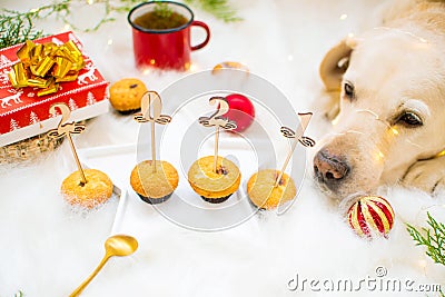 New year text 2021, gift, labrador dog, mug and cupcakes Stock Photo